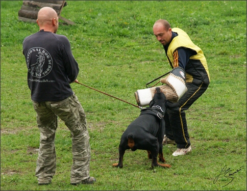 Training in Prague 10/2007